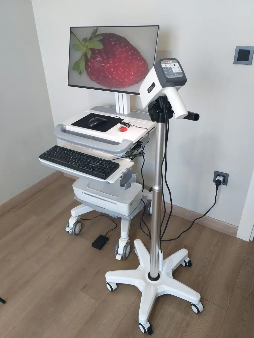 Digital colposcopy system on a mobile floor stand